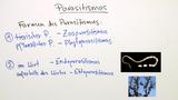 Parasitismus