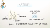 Der Artikel