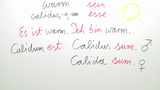 esse, Konjugation im Präsens, Prädikatsnomen