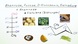 Rhamnose, Fucose, D-Glucosamin, Sialinsäure