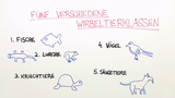 Merkmale der Wirbeltierklassen