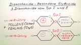 Disaccharide - Besondere Glykoside