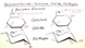 Polysaccharide - Cellulose, Stärke, Glykogen