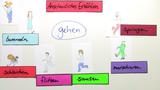 Anschauliches Erzählen