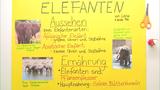 Plakat gestalten
