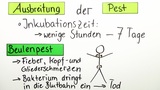 Pest und Cholera