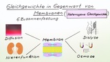 Gleichgewichte in Gegenwart von Membranen