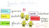 Der Genitiv bei Adjektiven und Partizipien