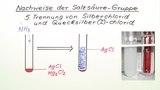 Nachweise der Salzsäure-Gruppe