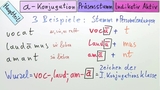 a-Konjugation (1) für Anfänger - 3. Person Singular: Einführung in die Formenlehre beim Verb
