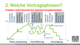 VR 2.5.4 Wie geht man systematisch bei der Planung der Vertragsdurchführung vor? 