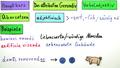 Gerundivum (3) - attributiv