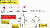 Organspende 