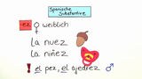 Substantive mit Konsonanten-Endung