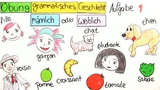 Das grammatische Geschlecht - Übungsvideo Das grammatische Geschlecht - Übungsvideo