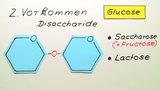 Glucose und Fructose