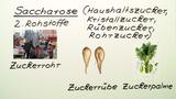 Saccharose und Maltose