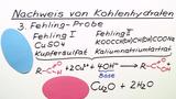 Nachweis von Kohlenhydraten