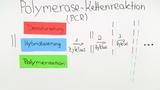 PCR - Methode