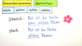 Demonstrativpronomen: solch, solcher, solche, solches und derselbe, dieselbe, dasselbe 