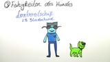 Der Hund - mein Gefährte