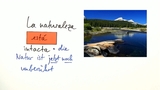 Ser und estar + Adjektiv: Teil 1