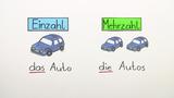 Einzahl und Mehrzahl