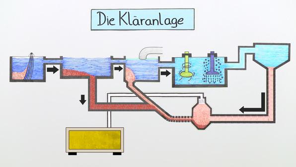 Der Klügere Gibt Nach Bedeutung Wasser und der Wasserkreislauf - Sachunterricht online lernen
