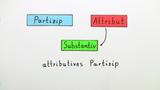 Das Partizip als Attribut und Substantiv