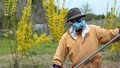 Atomkatastrophe in Fukushima - Konsequenzen für die Landwirtschaft