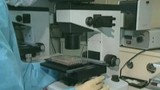 1985 - AIDS: Patient Zero