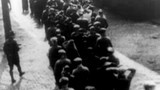 1933: Parteienverbote