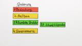 Räumlicher Bau von Komplexen