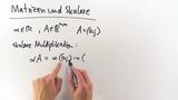 Matritzen und Skalare Matritzen und Skalare