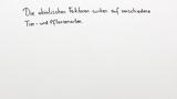 Das Bestimmen von Bioindikatoren