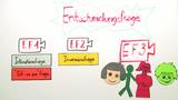 Die Entscheidungsfrage 3: Negative, nachdrückliche und alternative Frage