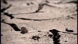 Durstiges Land - Namibia