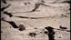 Durstiges Land - Namibia
