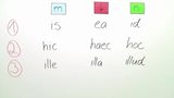 Formen und Bedeutungunterschiede der Demonstrativpronomen is, hic, ille und iste