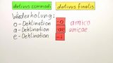 Funktionen des Dativs - Dativus commodi und Dativus finalis