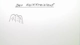 Der Kalkkreislauf