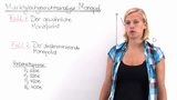 Marktgleichgewichtsanalyse - Monopol