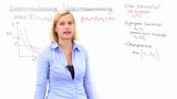 Nutzenmaximierung - Zusammenfassung