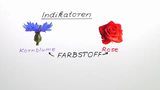 Indikatoren