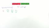 Statistik Video 47: Kombinatorik Übung II