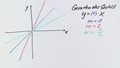 Kurvenscharen von ganzrationalen Funktionen und Ortskurven