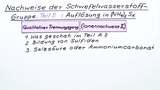 Nachweise der Schwefelwasserstoff-Gruppe. Teil B